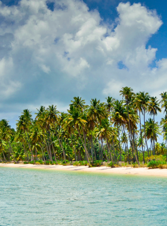 Viaje al nordeste de Brasil: Porto de Galinhas todo incluido en 9 días