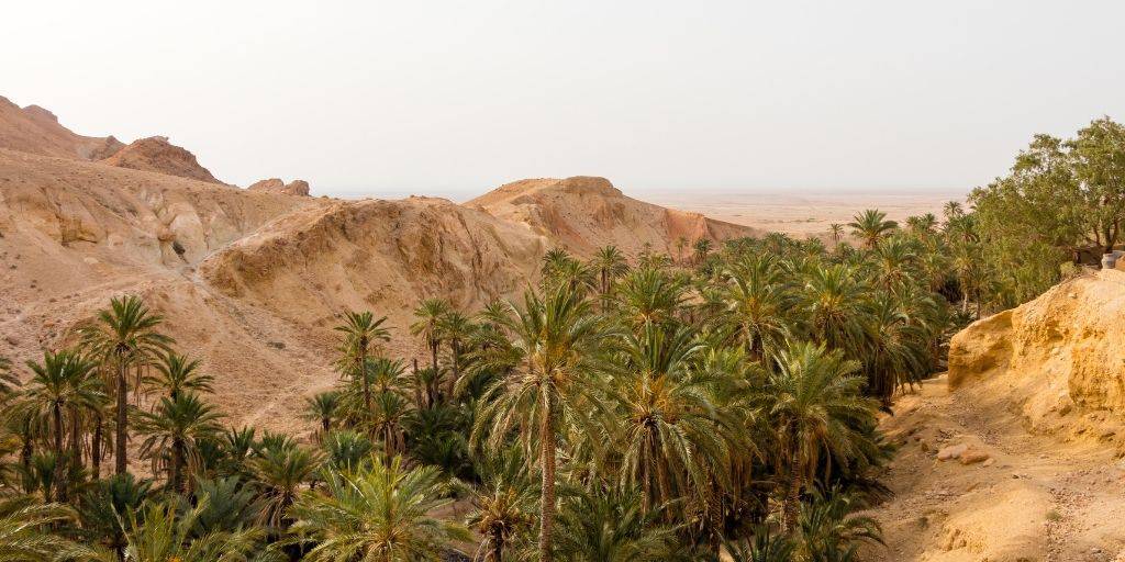 Descubre ciudades enigmáticas, mezquitas y desiertos. Un viaje a Túnez es una travesía por los contrastes del norte de África. Conoceremos Kairouán, Tozeur, Matmata y Sidi Bou Said. 4