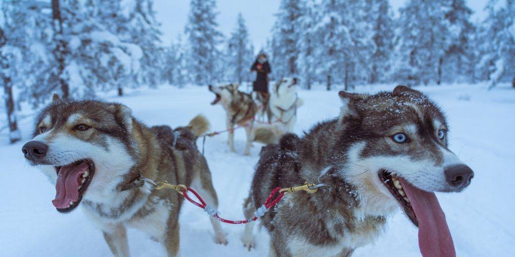 Nuestro viaje a Finlandia de 5 días te llevará a vivir el invierno de manera única en Laponia, el hogar de Papa Noel y las auroras boreales. 2