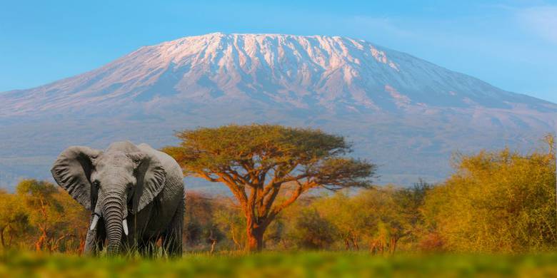 Safari en privado por Tanzania y playas de Zanzíbar en hotel de lujo en 13 días