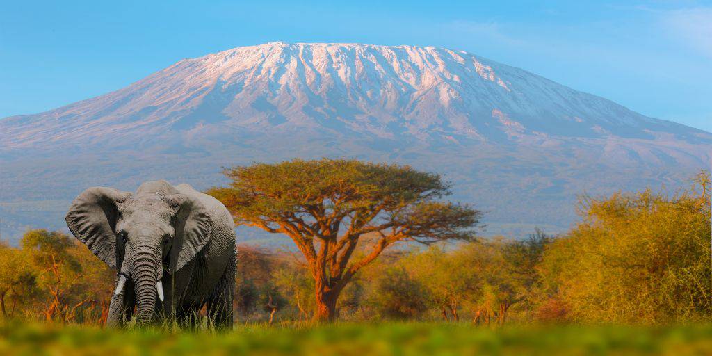 Con este viaje a Tanzania y Zanzíbar de 13 días conoceremos el lago Manyara, Karatu, Ngorongoro y sobrevolaremos en globo el Parque Nacional de Serengeti, donde haremos un safari. 1