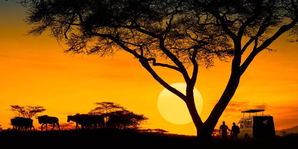 África tiene mucho que ofrecer. Con nuestro viaje de luna de miel en Kenia y playas de Zanzíbar podremos hacer un safari por la Reserva Masai Mara y relajarnos en las playas de Zanzíbar. 1