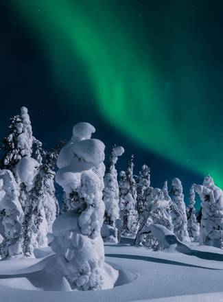 Viaje a Laponia y Noruega de 8 días: Auroras Boreales de Este a Oeste