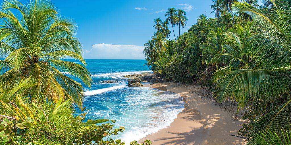 Pasa tus vacaciones en el Caribe con este viaje por la costa de Costa Rica. Durante 9 días, conocerás las impresionantes playas costarricenses. 2