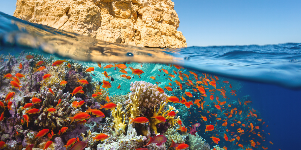 Con este viaje al Mar Rojo con todo incluido podrás disfrutar de las playas de Sharm El Sheikh, el balneario por excelencia de Egipto. 1