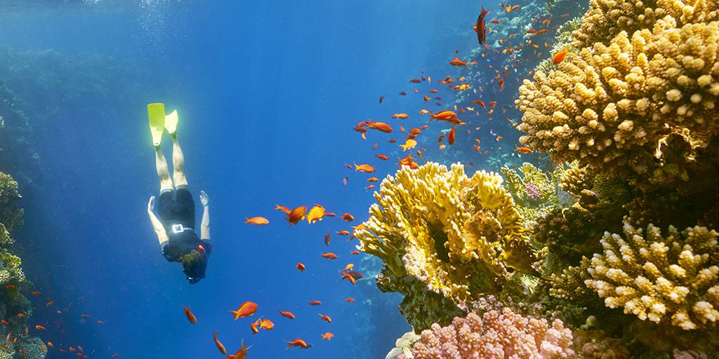 Con este viaje al Mar Rojo con todo incluido podrás disfrutar de las playas de Sharm El Sheikh, el balneario por excelencia de Egipto. 5