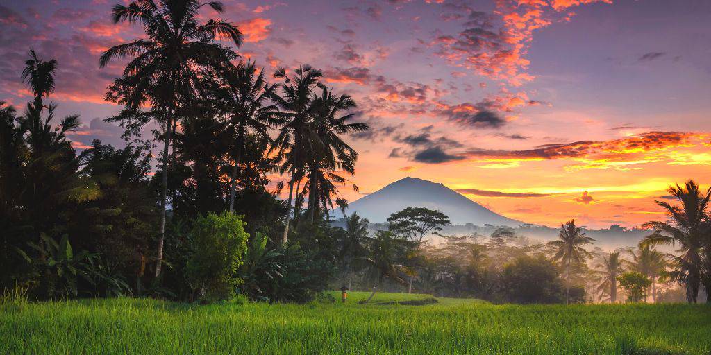 ¿Estás pensando en viajar a las islas de Indonesia? Aprovecha al máximo tus vacaciones con este recorrido por las islas de Bali y Lombok. 3