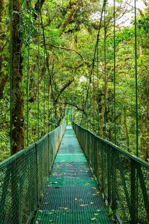 Imagen del viaje: Viaje Fly and Drive a Costa Rica de 9 días