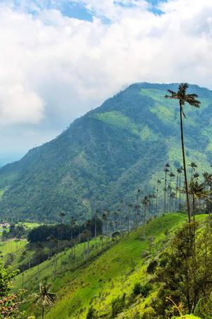 Imagen del viaje: Viaje a Colombia de 16 días: Eje Cafetero, Medellín, Santa Marta y Cartagena