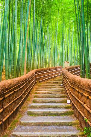 Imagen del viaje: Viaje a Japón de 15 días: ruta espiritual por sus templos y senderos