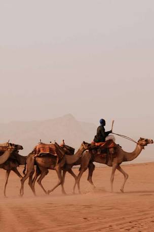Imagen del viaje: Viaje a Jordania clásica en 7 días