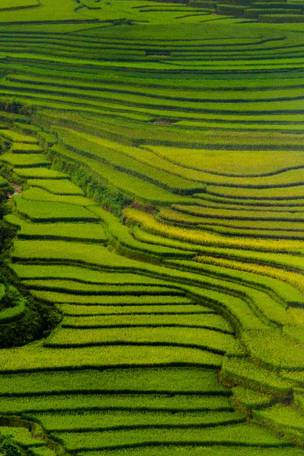 Imagen del viaje: Viaje a Vietnam y Camboya de 13 días: Hanói, Hue, Ho Chi Minh y templos de Angkor