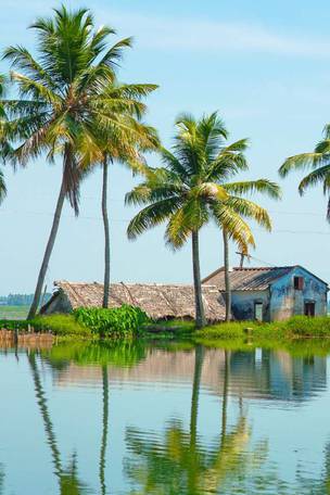 Imagen del viaje: Viaje al sur exótico de la India de 10 días