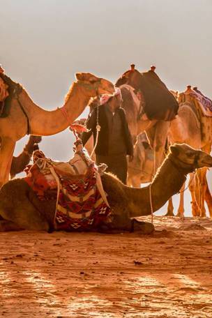 Imagen del viaje: Viaje por Jordania, desierto de Wadi Rum y Mar Rojo 8 días