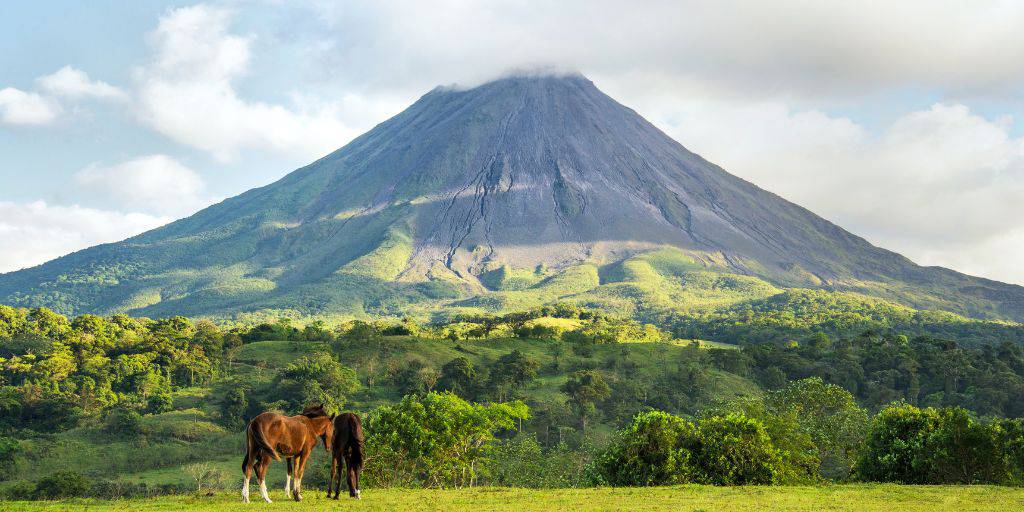 Pura vida te está esperando con nuestro viaje a Costa Rica de 10 días. Estas vacaciones te llevarán a los parques naturales más fascinantes. 1