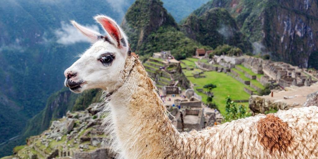 Perú nos ofrece toda la cultura milenaria. Descúbrelo en este viaje a Lima, Arequipa, Titicaca, Cusco y Mach Picchu y Valle Sagrado. 6