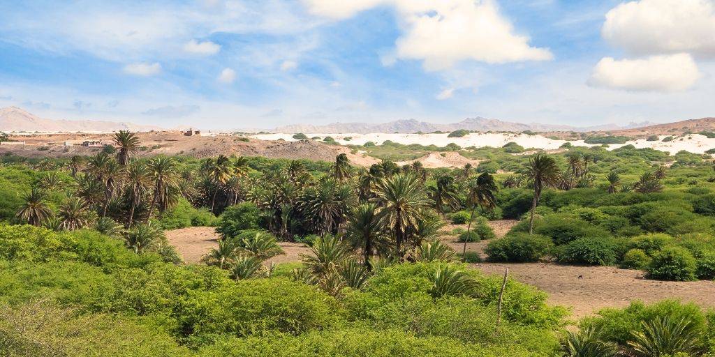 Disfruta tu estadía en la Isla de Boa Vista en Cabo Verde. Durante 8 días podrás relajarte en las playas paradisíacas en régimen todo incluido. 3