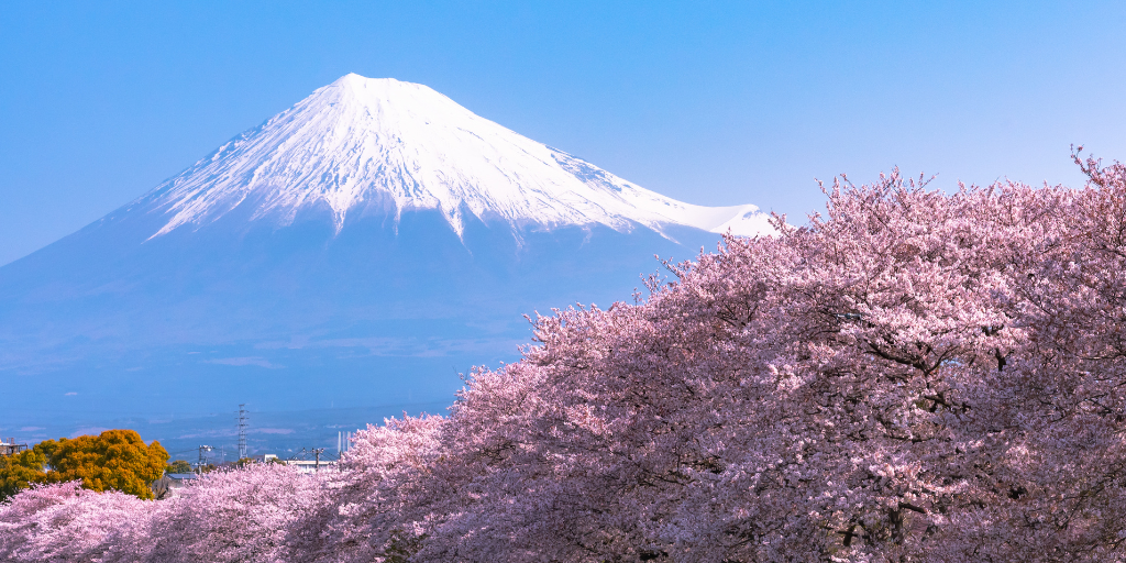 Con nuestro viaje a Japón podrás observar los principales puntos del país incluyendo el impresionante Monte Fuji. 4