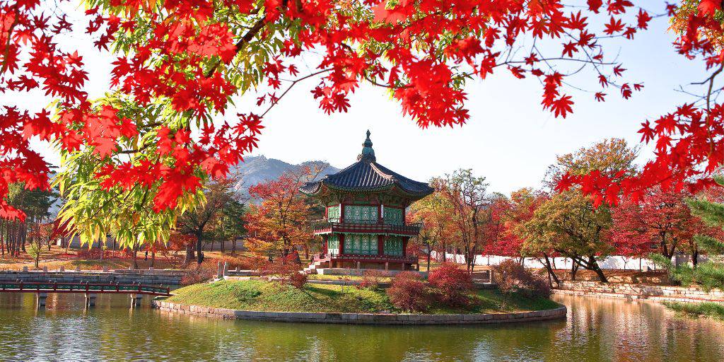 De Seúl a Busan, un viaje a Corea del Sur nos llevará por templos milenarios, palacios reales, barrios pintorescos y ciudades hiper modernas. 2