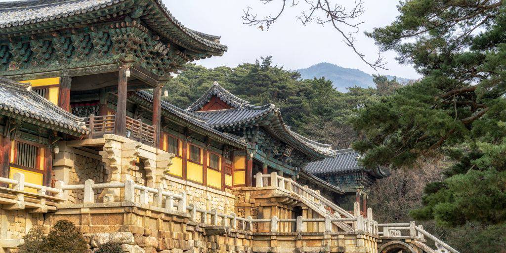 Corea del Sur esconde tesoros milenarios. En este viaje conoceremos el palacio de Gyeongbokgung, el barrio tradicional de Bukchon, la aldea de Andong Hahoe, Gyeongju y Busan. 6