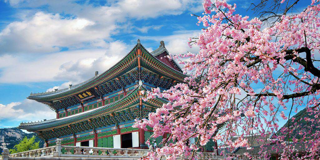 De Seúl a Busan, un viaje a Corea del Sur nos llevará por templos milenarios, palacios reales, barrios pintorescos y ciudades hiper modernas. 1