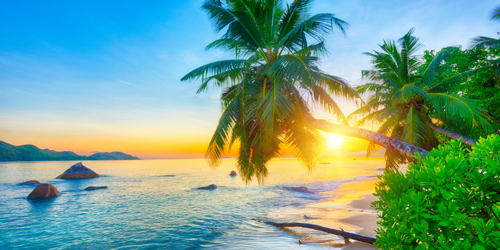 Con este viaje a Seychelles disfrutarás de las tres islas principales: Mahé, Praslin y La Digue. Relájate en las increíbles playas paradisíacas y explora el fondo marino. 1