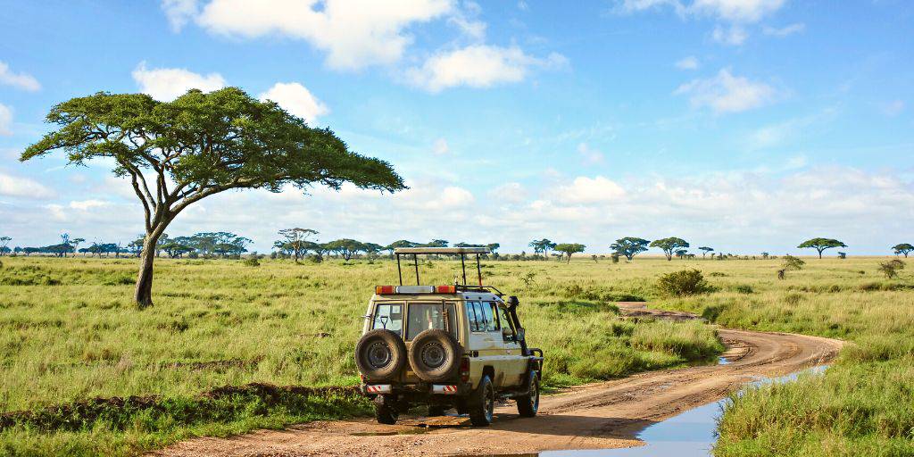 ¿Quién no desea realizar un safari por los mejores parques de toda África? Con este viaje organizado a Tanzania podrás hacer tus sueños realidad. 3