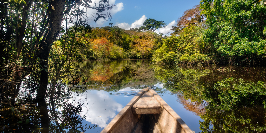 Disfruta de un viaje a Colombia y su selva amazónica. Descubre el café colombiano y explora la magia del Amazonas con aventuras en bote para conectar con su naturaleza exuberante. 1