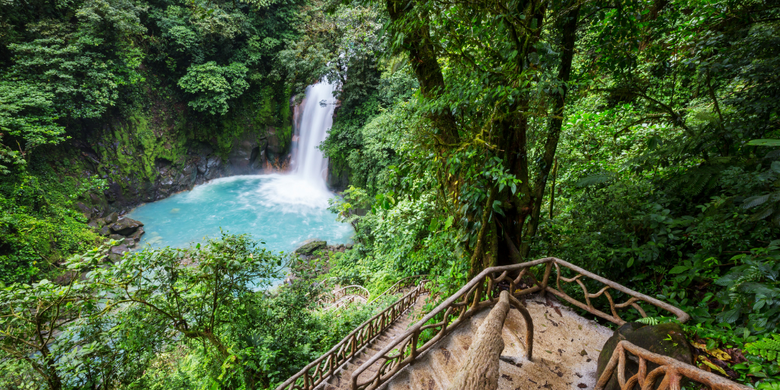 Viaje a lo mejor de Costa Rica: Tortuguero, Monteverde y playas de Manuel Antonio