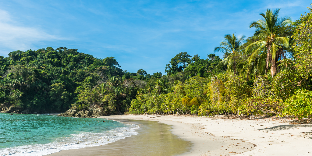 Los mejores lugares de Costa Rica en un mismo viaje. Disfruta de las tortugas en Tortuguero, las tierras volcánicas de Arenal, la selva tropical de Monteverde y las playas de Manuel Antonio. 5