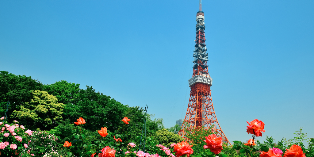 Con nuestro viaje a Japón podrás observar los principales puntos del país incluyendo el impresionante Monte Fuji. 6