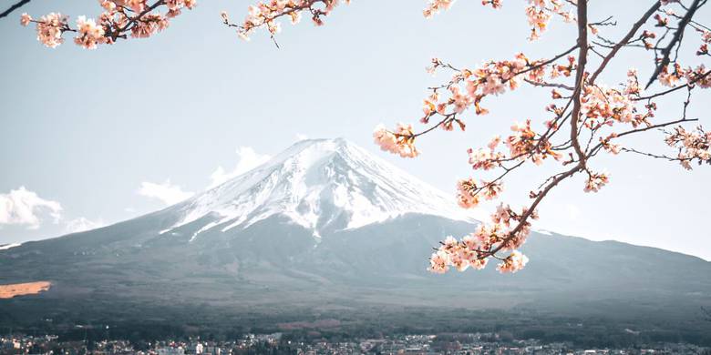 Viaje a Japón de 15 días: ruta espiritual por sus templos y senderos