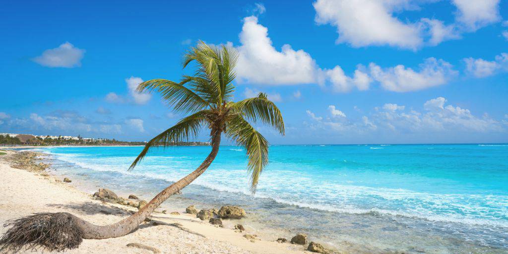 Relájate con un viaje a Playa del Carmen con todo incluido. Disfruta de las playas paradisíacas y ambiente tropical en una de las mejores playas de México. 4