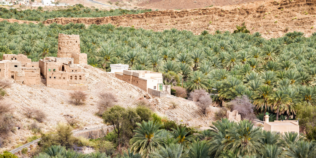 Con este viaje descubrirás la Omán más auténtica. Disfruta de bellos paisajes que protegen el pueblo de montaña Al Wakan. Después recorre las dunas del desierto y visita el santuario de tortugas. 3