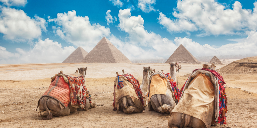 Pirámides, templos, mercados, ...con este viaje a Egipto de 7 días podrás vivir experiencias únicas visitando todos estos lugares y mucho más. 6