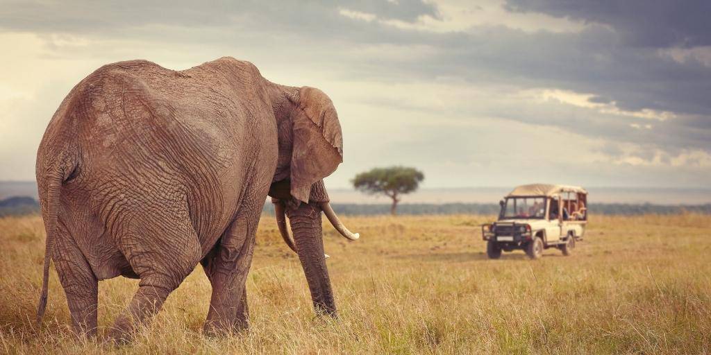 Conoce el contraste de la naturaleza más salvaje y la capital más cosmopolita con nuestro safari organizado por Kenia de 6 días 1