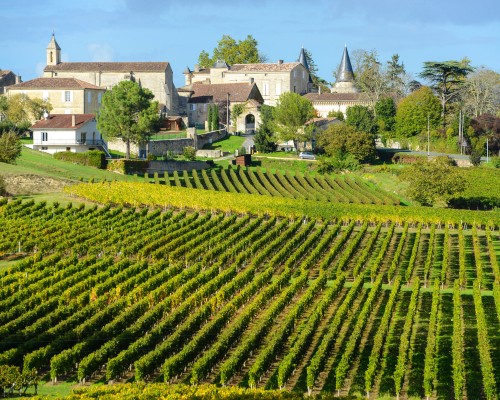 Viñedos de Burdeos