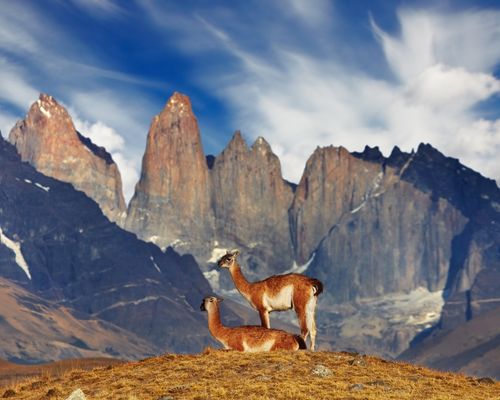 Torres del Paine