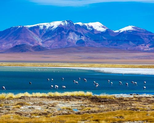 Desierto de Atacama