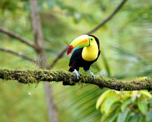 Lo mejor de Costa Rica