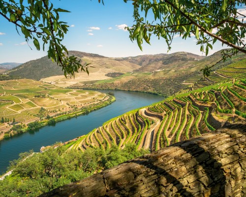 Valle del Douro