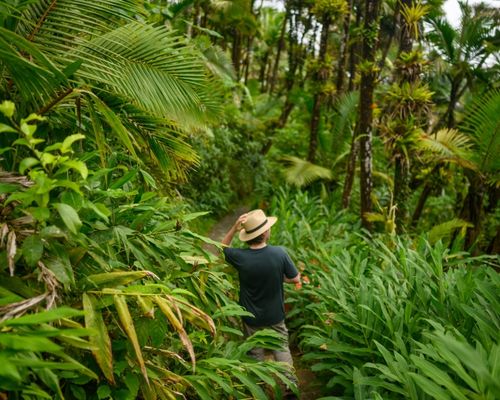 Imprescindibles de Puerto Rico