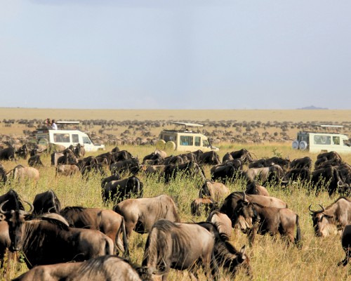 Parque Nacional del Serengeti