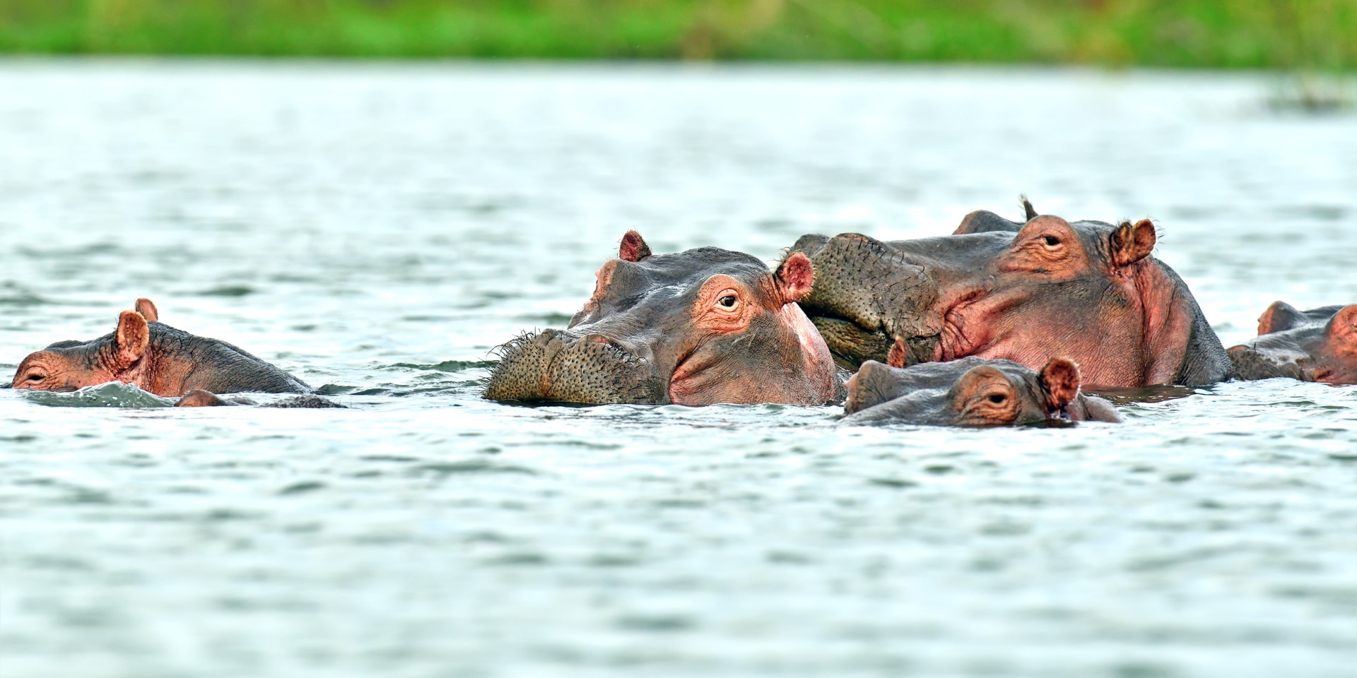 Parques nacionales de Kenia