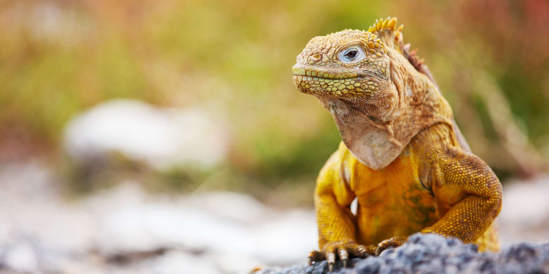 Biodiversidad única, islas remotas y herencia colonial