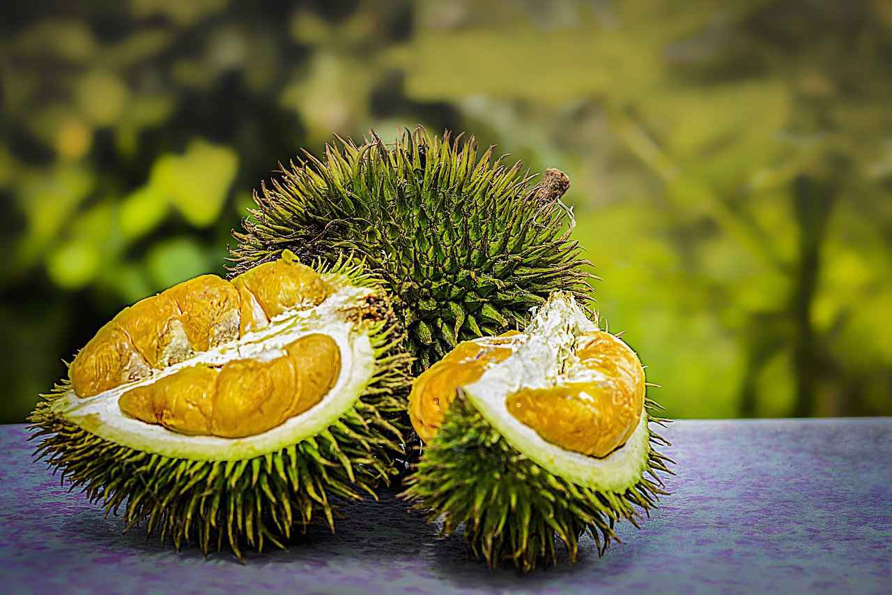 Qué comer en Tailandia - Durian