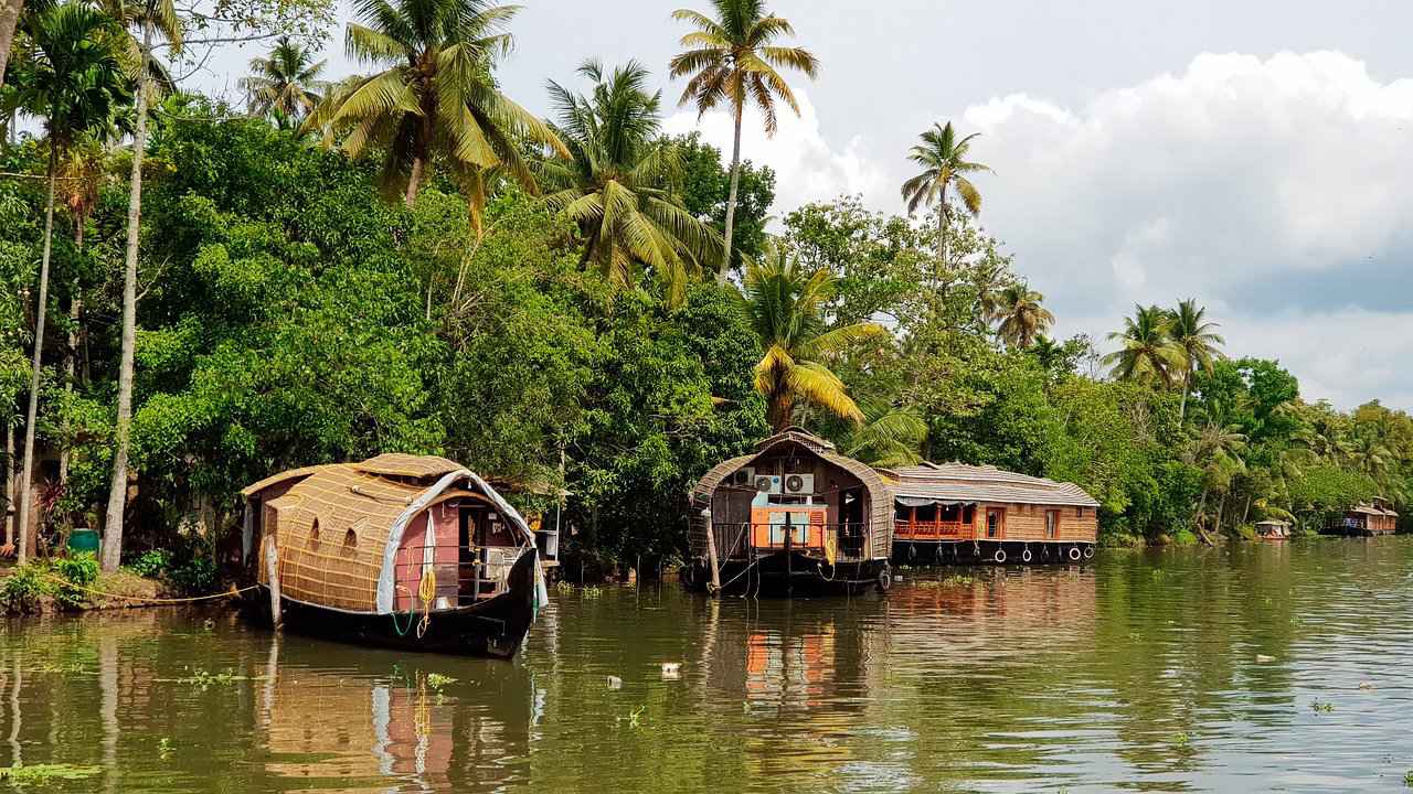 Qué ver en Kochi - Backwaters
